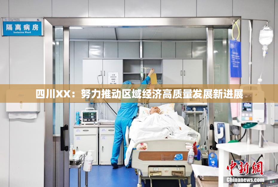 四川XX：努力推动区域经济高质量发展新进展