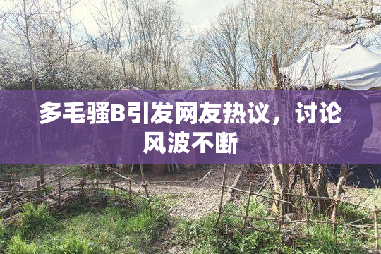 多毛骚B引发网友热议，讨论风波不断