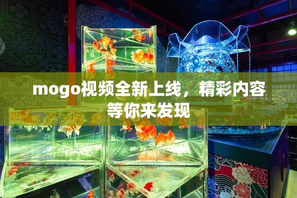 mogo视频全新上线，精彩内容等你来发现