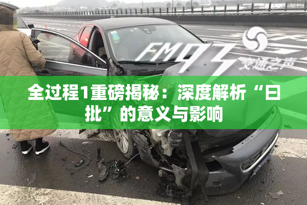 全过程1重磅揭秘：深度解析“曰批”的意义与影响