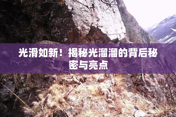 光滑如新！揭秘光溜溜的背后秘密与亮点