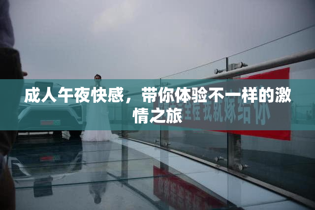 成人午夜快感，带你体验不一样的激情之旅