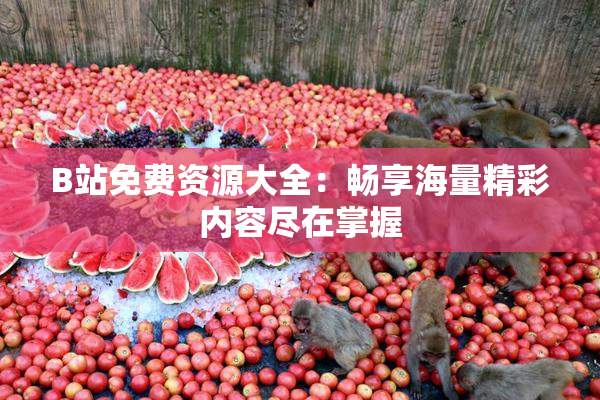 B站免费资源大全：畅享海量精彩内容尽在掌握
