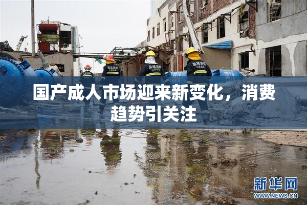 国产成人市场迎来新变化，消费趋势引关注