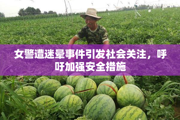女警遭迷晕事件引发社会关注，呼吁加强安全措施