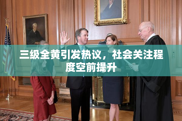 三级全黄引发热议，社会关注程度空前提升