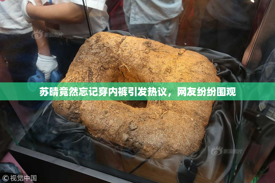 苏晴竟然忘记穿内裤引发热议，网友纷纷围观