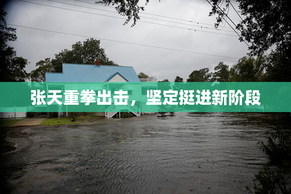 张天重拳出击，坚定挺进新阶段