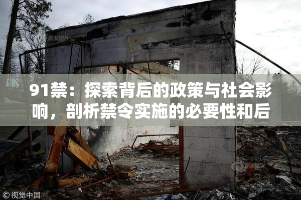 91禁：探索背后的政策与社会影响，剖析禁令实施的必要性和后果