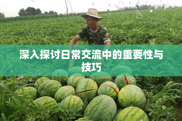 深入探讨日常交流中的重要性与技巧