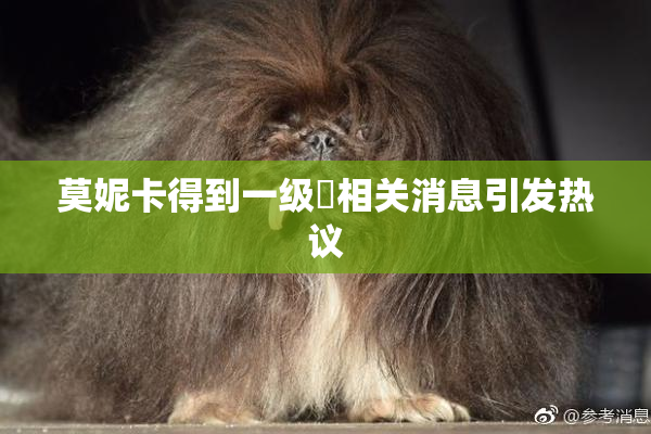 莫妮卡得到一级婬相关消息引发热议