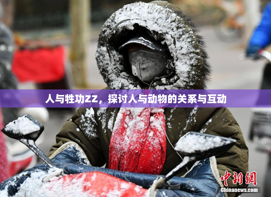 人与牲功ZZ，探讨人与动物的关系与互动
