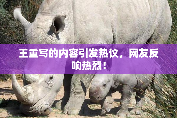 王重写的内容引发热议，网友反响热烈！