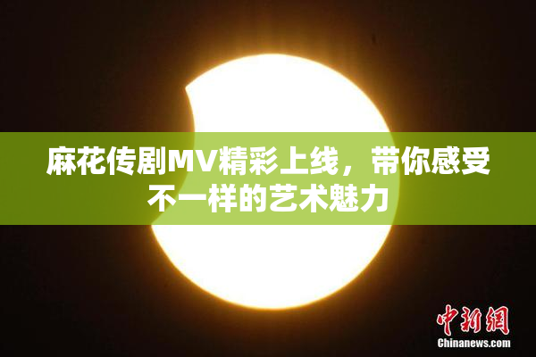 麻花传剧MV精彩上线，带你感受不一样的艺术魅力