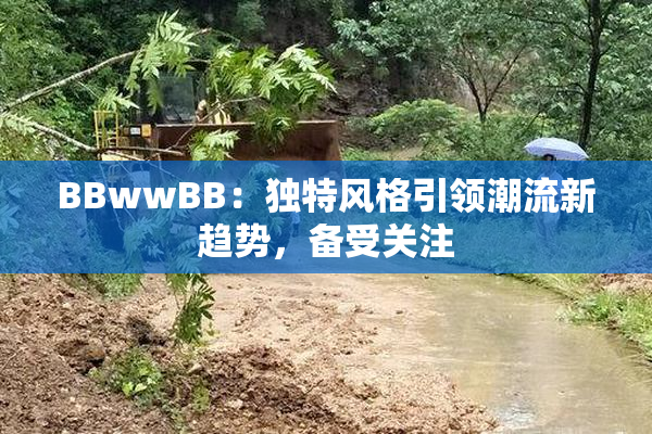BBwwBB：独特风格引领潮流新趋势，备受关注