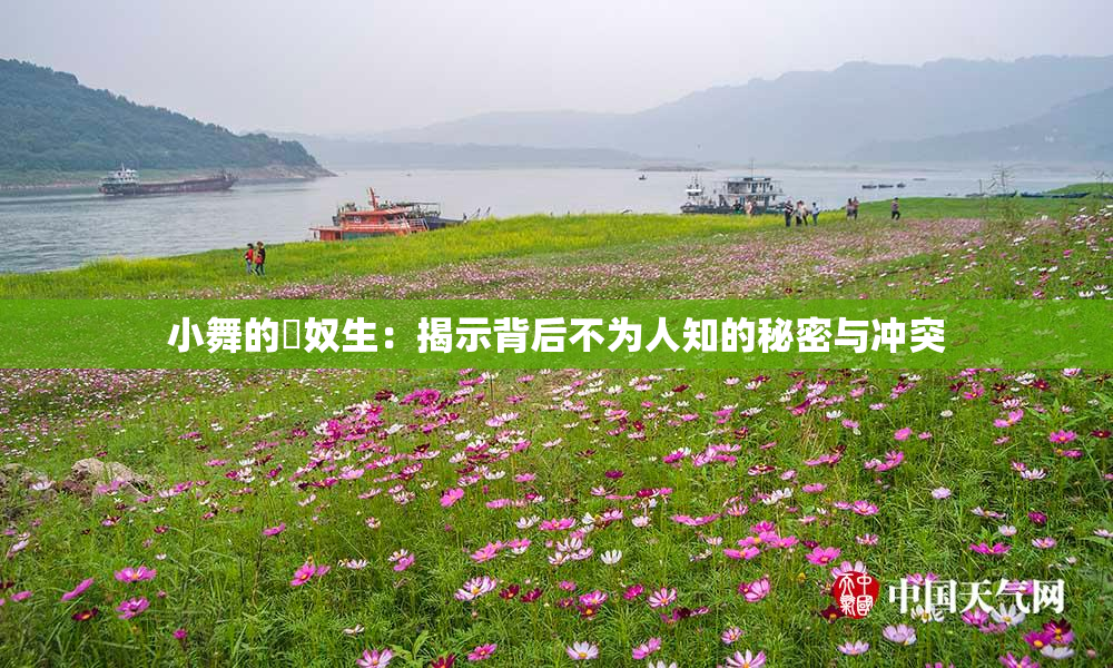 小舞的婬奴生：揭示背后不为人知的秘密与冲突