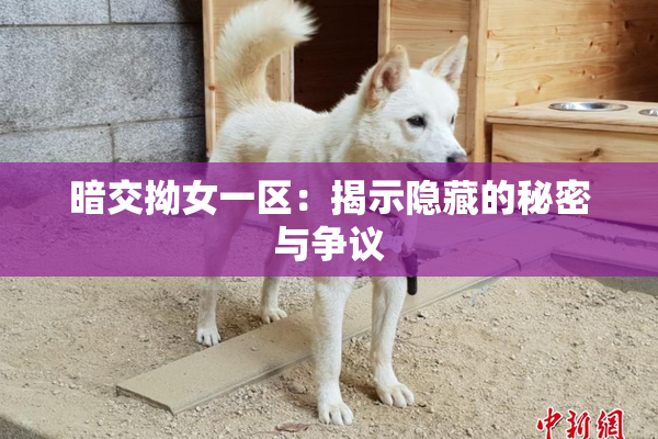 暗交拗女一区：揭示隐藏的秘密与争议
