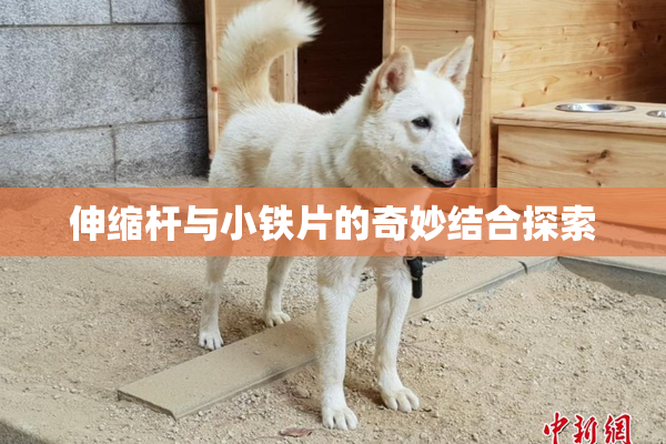 伸缩杆与小铁片的奇妙结合探索