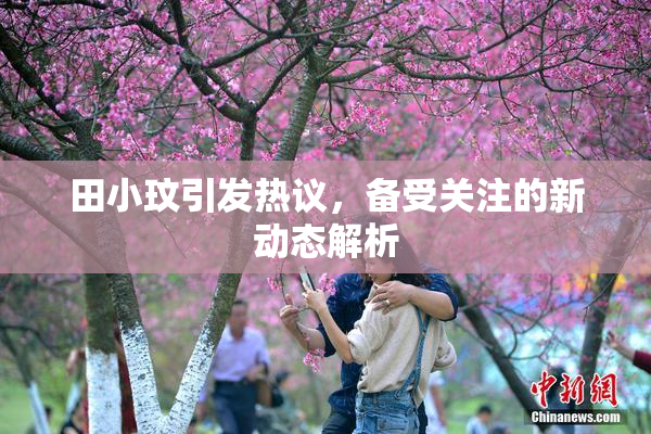 田小玟引发热议，备受关注的新动态解析
