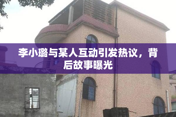 李小璐与某人互动引发热议，背后故事曝光