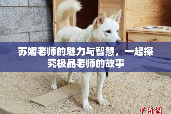 苏媚老师的魅力与智慧，一起探究极品老师的故事
