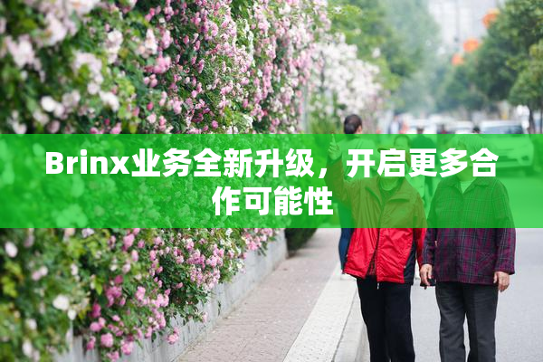 Brinx业务全新升级，开启更多合作可能性