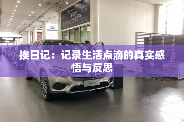 挨日记：记录生活点滴的真实感悟与反思