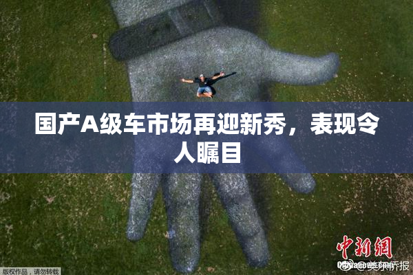 国产A级车市场再迎新秀，表现令人瞩目