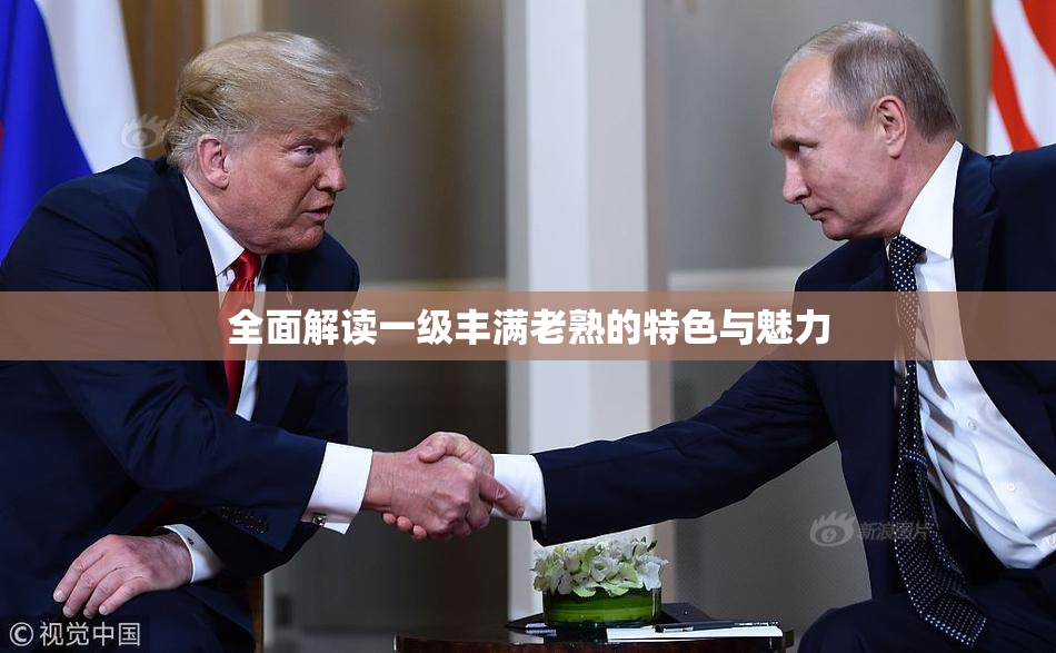 全面解读一级丰满老熟的特色与魅力
