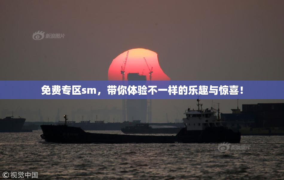 免费专区sm，带你体验不一样的乐趣与惊喜！
