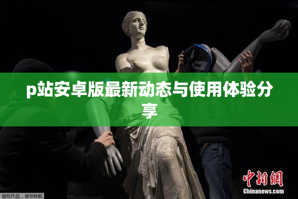 p站安卓版最新动态与使用体验分享