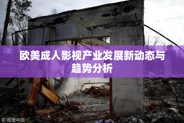 欧美成人影视产业发展新动态与趋势分析