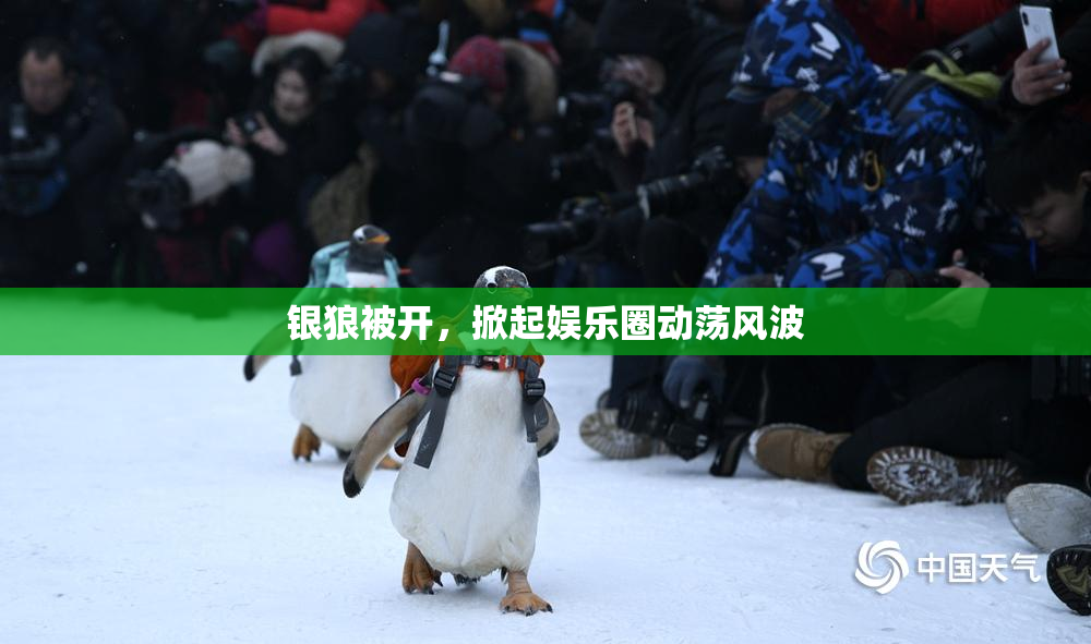 银狼被开，掀起娱乐圈动荡风波