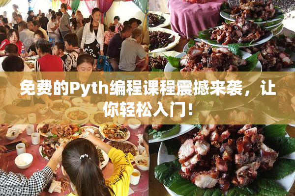 免费的Pyth编程课程震撼来袭，让你轻松入门！