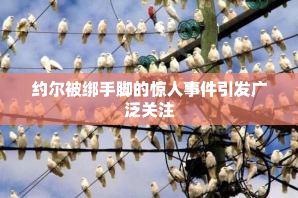 约尔被绑手脚的惊人事件引发广泛关注