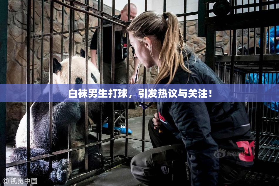 白袜男生打球，引发热议与关注！