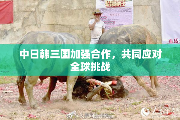 中日韩三国加强合作，共同应对全球挑战