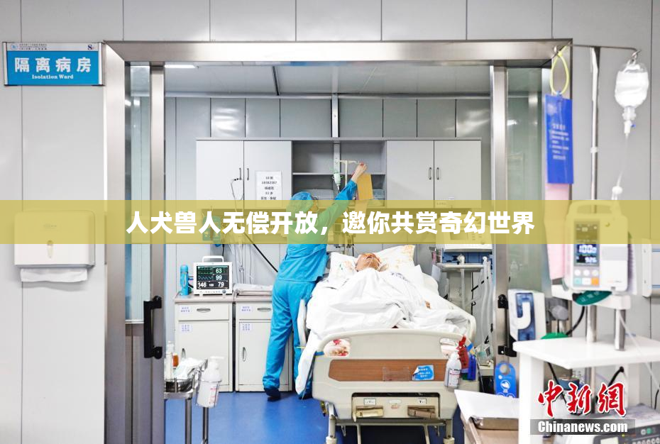 人犬兽人无偿开放，邀你共赏奇幻世界