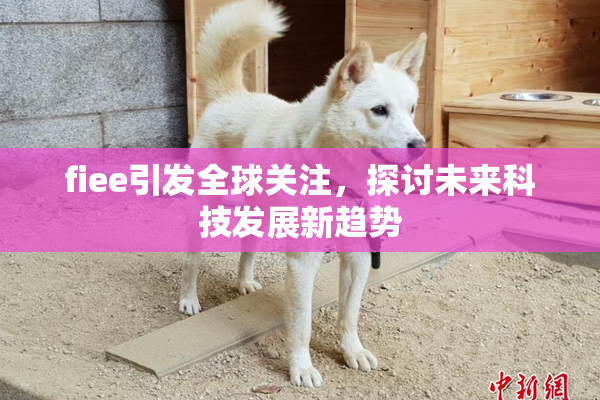 fiee引发全球关注，探讨未来科技发展新趋势
