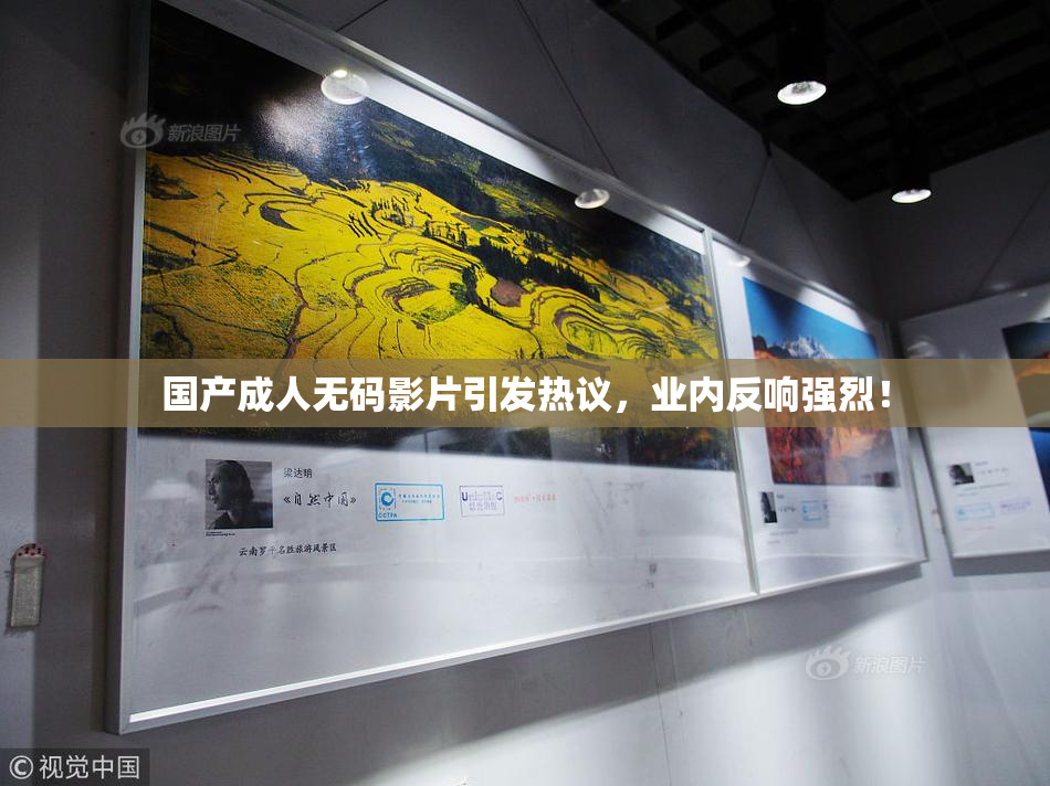 国产成人无码影片引发热议，业内反响强烈！