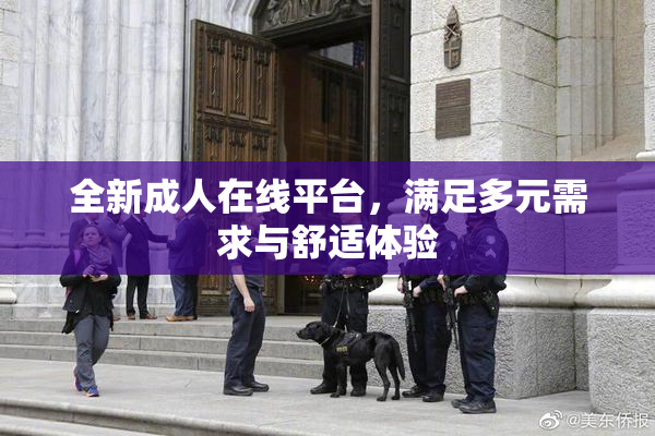 全新成人在线平台，满足多元需求与舒适体验