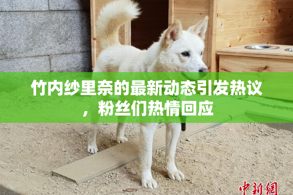 竹内纱里奈的最新动态引发热议，粉丝们热情回应