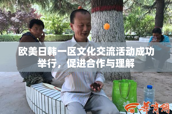 欧美日韩一区文化交流活动成功举行，促进合作与理解