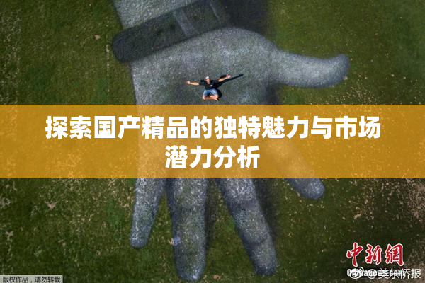 探索国产精品的独特魅力与市场潜力分析