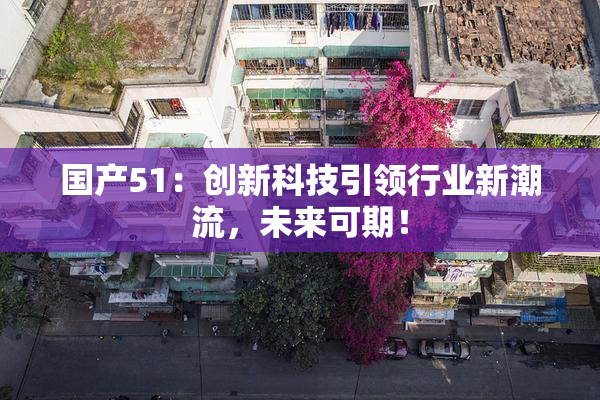 国产51：创新科技引领行业新潮流，未来可期！