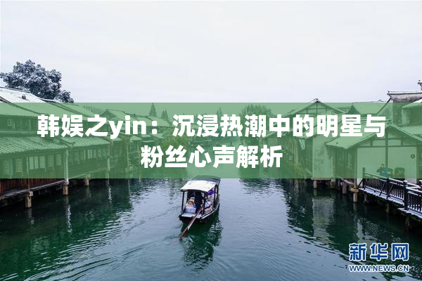 韩娱之yin：沉浸热潮中的明星与粉丝心声解析