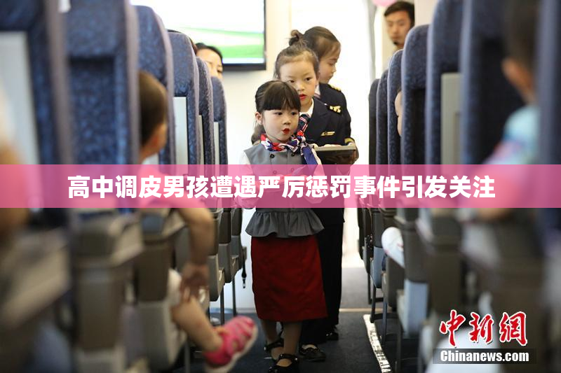 高中调皮男孩遭遇严厉惩罚事件引发关注