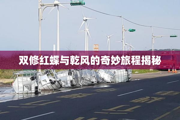 双修红蝶与乾风的奇妙旅程揭秘