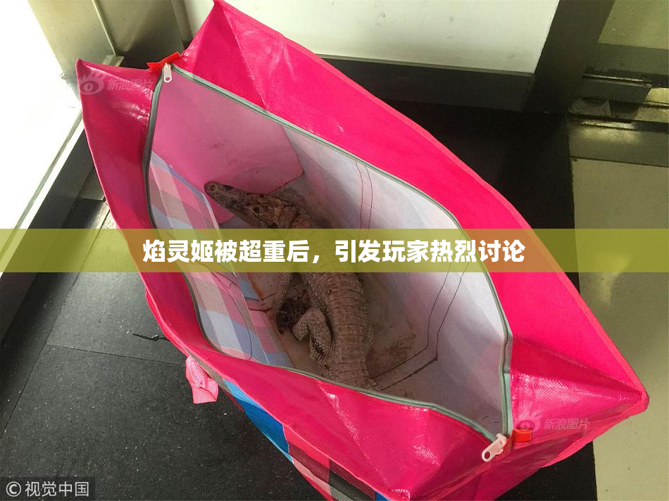 焰灵姬被超重后，引发玩家热烈讨论
