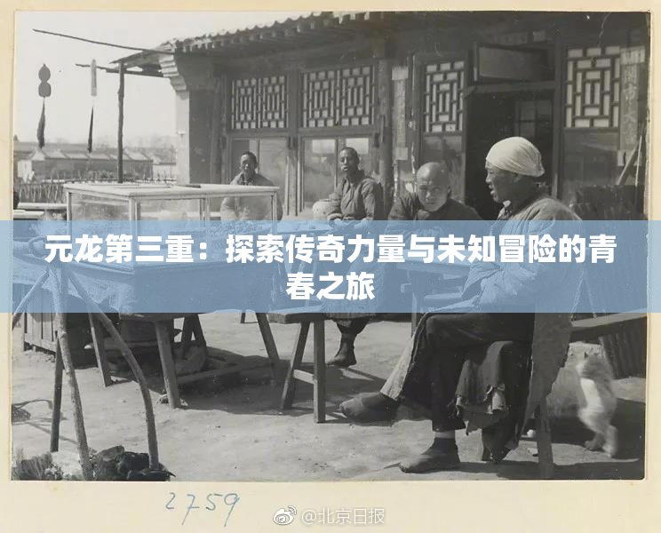 元龙第三重：探索传奇力量与未知冒险的青春之旅